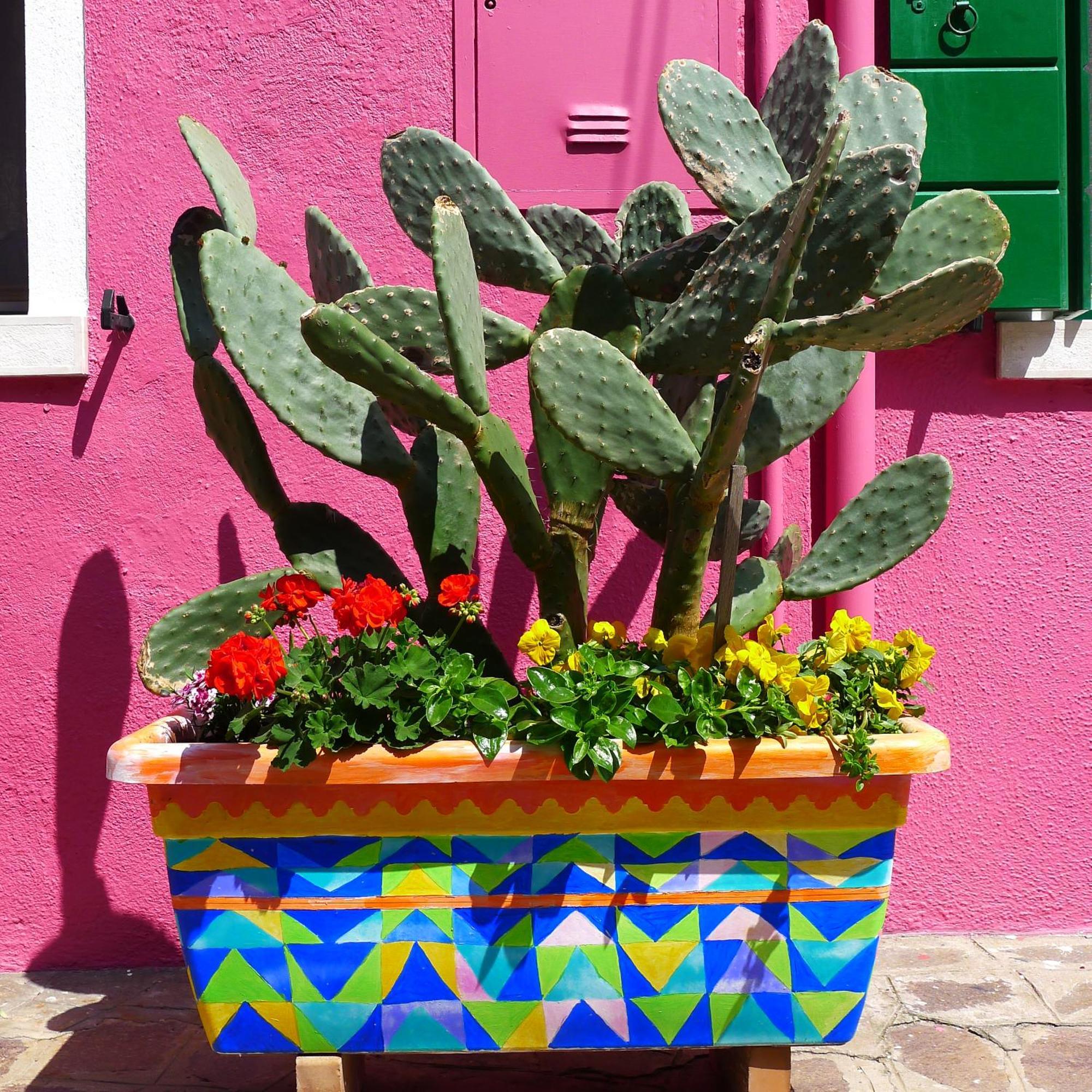 Night Galleria Holiday Home - Bed & Art In Burano - The Pink House Екстериор снимка